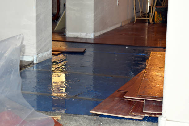 Professional Burst Pipe Water Damage technician working in Castleton, VA